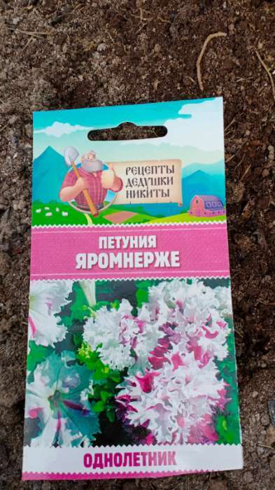 Фотография покупателя товара Семена цветов Петуния "Яромнерже", 5 шт. - Фото 1