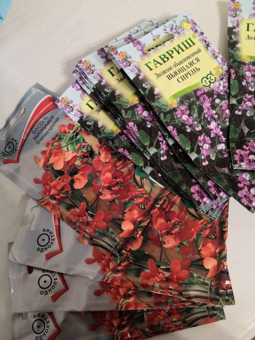 Фотография покупателя товара Семена цветов Долихос (Гиацинтовые бобы) "Вьющаяся сирень", ц/п,  4 шт - Фото 1