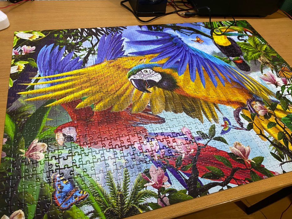 Фотография покупателя товара Пазл «Попугаи», 1000 элементов