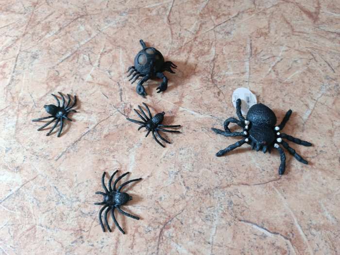 Фотография покупателя товара Набор насекомых «Лесные», 5 штук - Фото 4