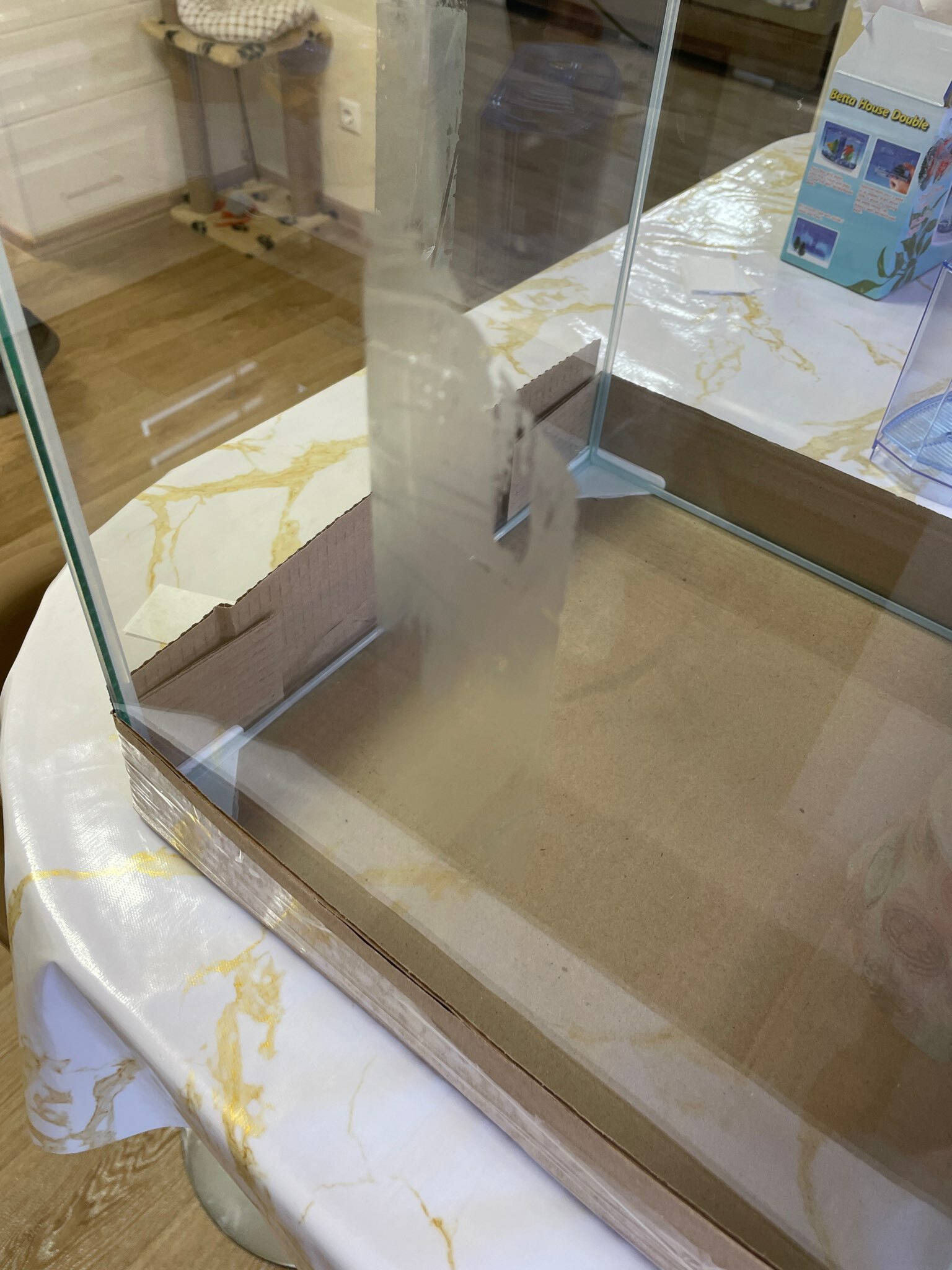 Фотография покупателя товара Аквариум "Куб", покровное стекло, 50 литров, 35 x 35 x 40 см, белые уголки