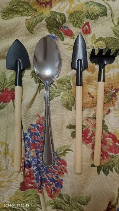 Фотография покупателя товара Набор садового инструмента, 3 предмета: грабли, 2 лопатки, длина 24 см, деревянные ручки - Фото 9
