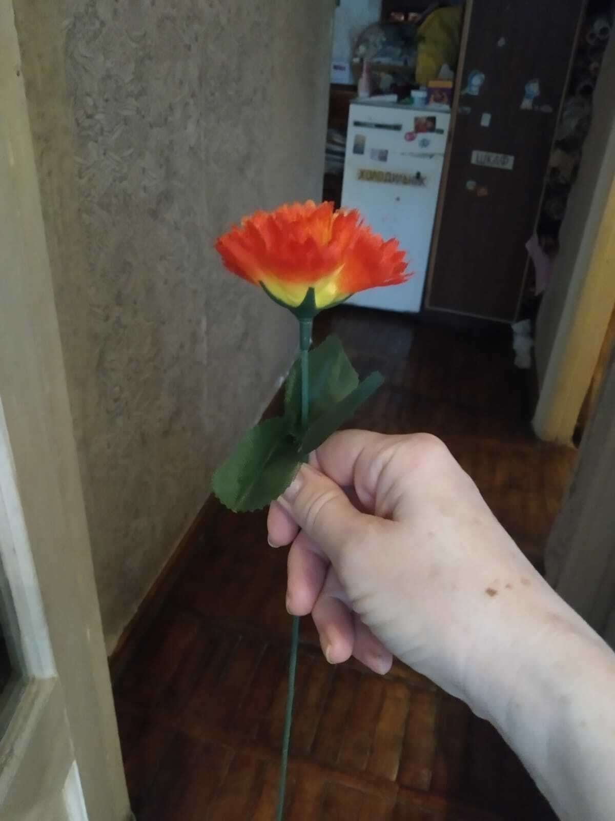 Фотография покупателя товара Цветы искусственные "Гвоздика 25 см, красный - Фото 1