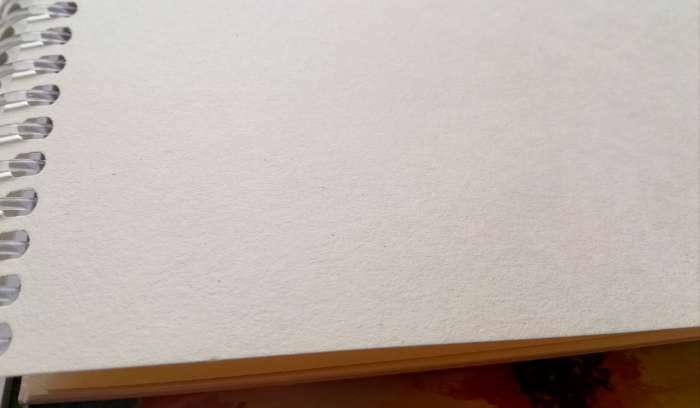 Фотография покупателя товара Скетчбук А5, 64 листа на гребне "Лиса", твёрдая обложка, глянцевая ламинация, блок 100 г/м2 - Фото 4