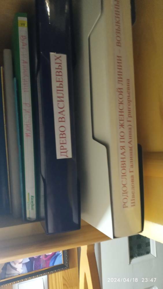 Фотография покупателя товара Папка c 100 вкладышами А4, 700 мкм, Calligrata DeLuxe, 40 мм, в коробке, синяя - Фото 1