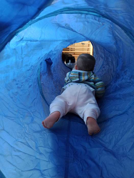 Фотография покупателя товара Детский тоннель «Акула», цвет синий - Фото 2
