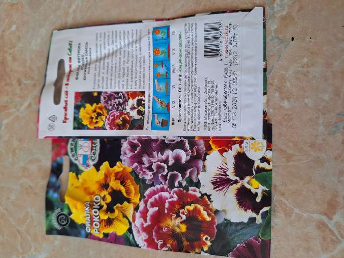 Фотография покупателя товара Семена цветов фиалка «Рококо», 0.05 г - Фото 1