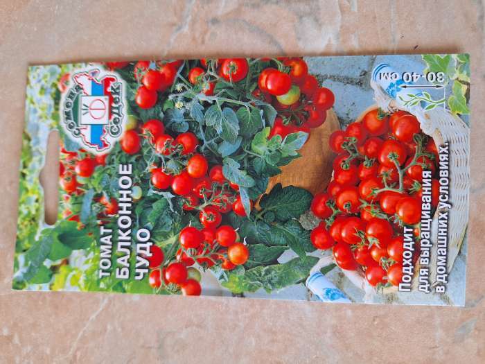 Фотография покупателя товара Семена томат «Балконное чудо», цветной пакет, детерминантный, низкорослый, 0.1 г - Фото 7