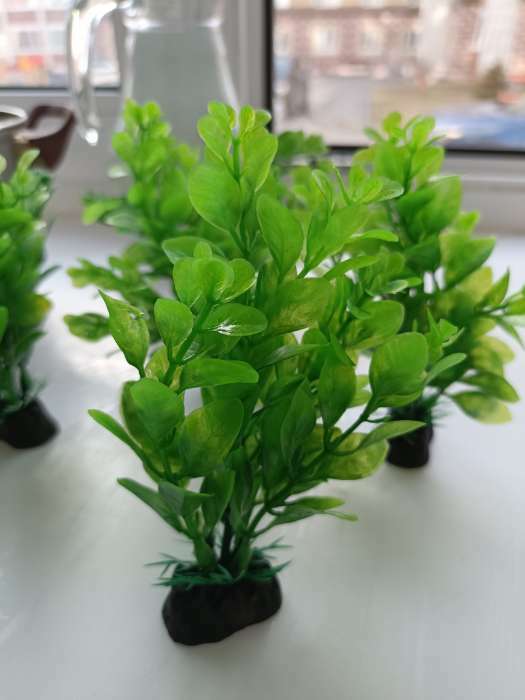 Фотография покупателя товара Растение искусственное аквариумное, 3 х 13 см, зелёное