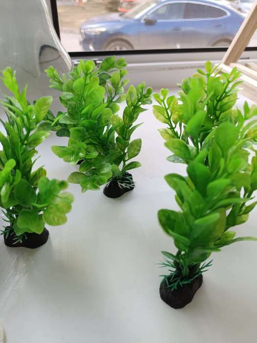 Фотография покупателя товара Растение искусственное аквариумное, 3 х 13 см, зелёное - Фото 4