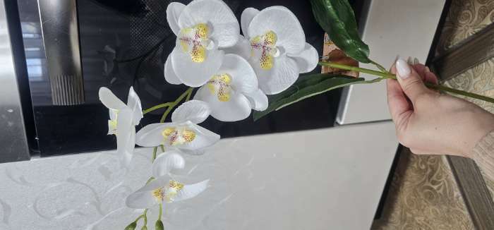 Фотография покупателя товара Цветы искусственные "Орхидея фаленопсис" премиум, 7х55 см, белый