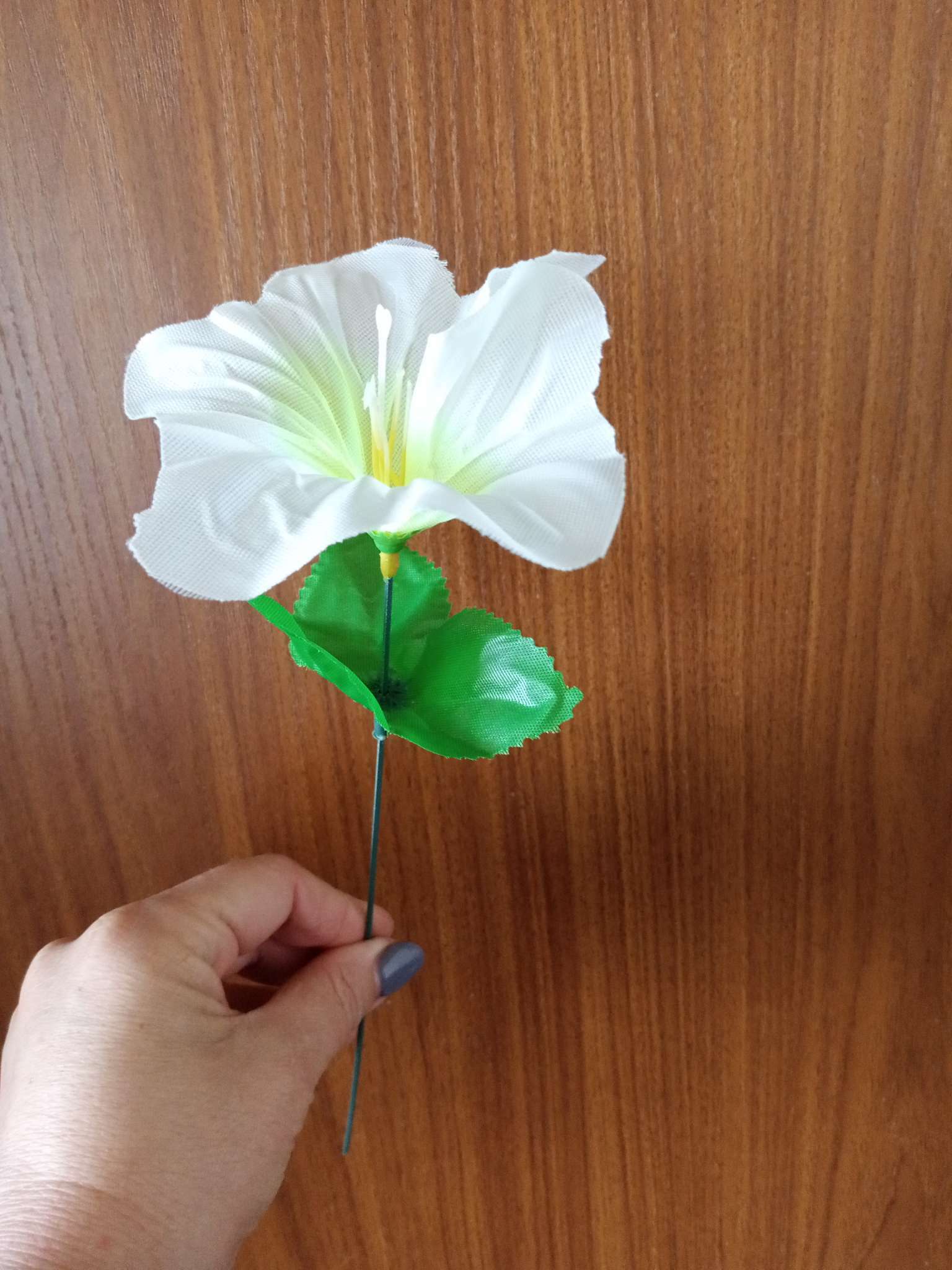 Фотография покупателя товара Цветы искусственные "Гиппеаструм" d-12 см h-23 см,  белый - Фото 4