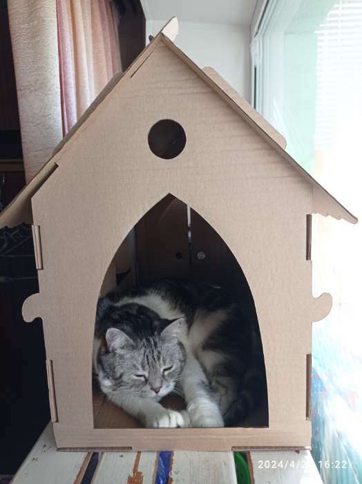 Фотография покупателя товара Дом-конструктор для кошек, 59 х 30 х 47 см, крафт
