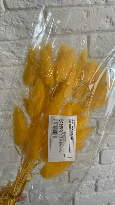 Фотография покупателя товара Декор сухоцвет "Лагурус" 65 см, жёлтый (фасовка 30 шт, цена за 1 шт) - Фото 5
