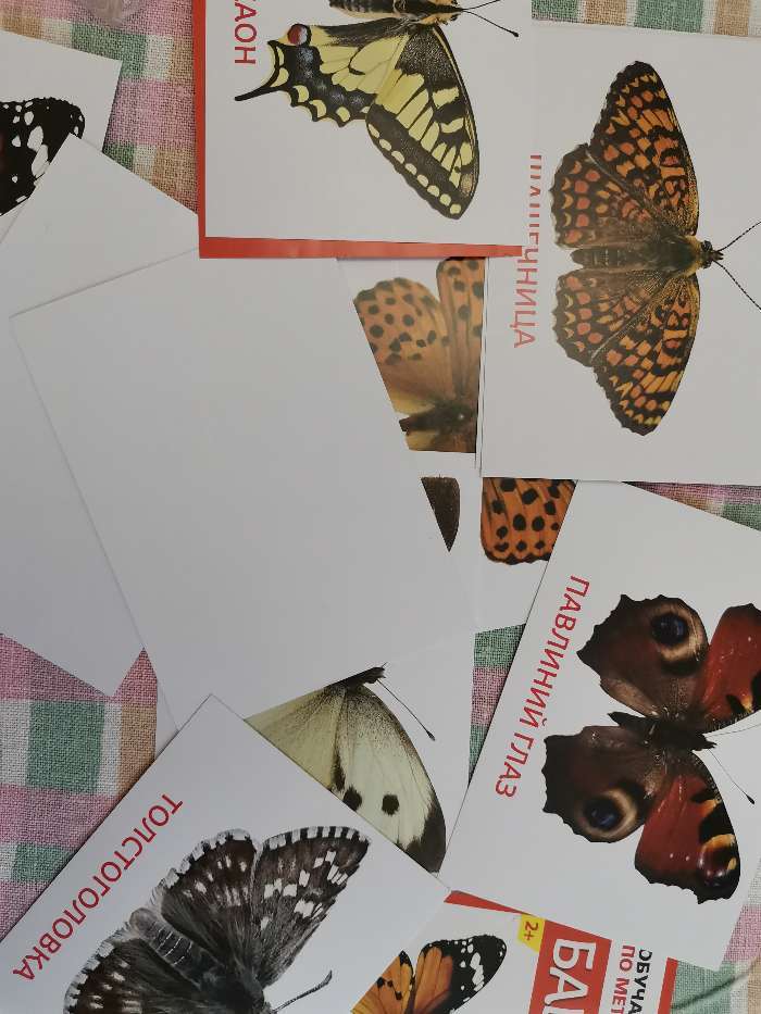 Фотография покупателя товара Обучающие карточки по методике Г. Домана «Бабочки», 10 карт, А6