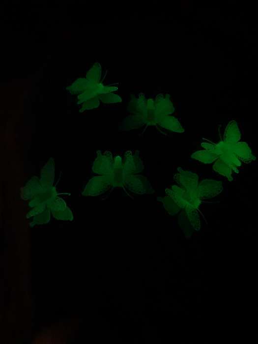 Фотография покупателя товара Набор светящегося декора "Бабочки" 6 шт., цвет МИКС, 7 × 5,5 × 5 см - Фото 1