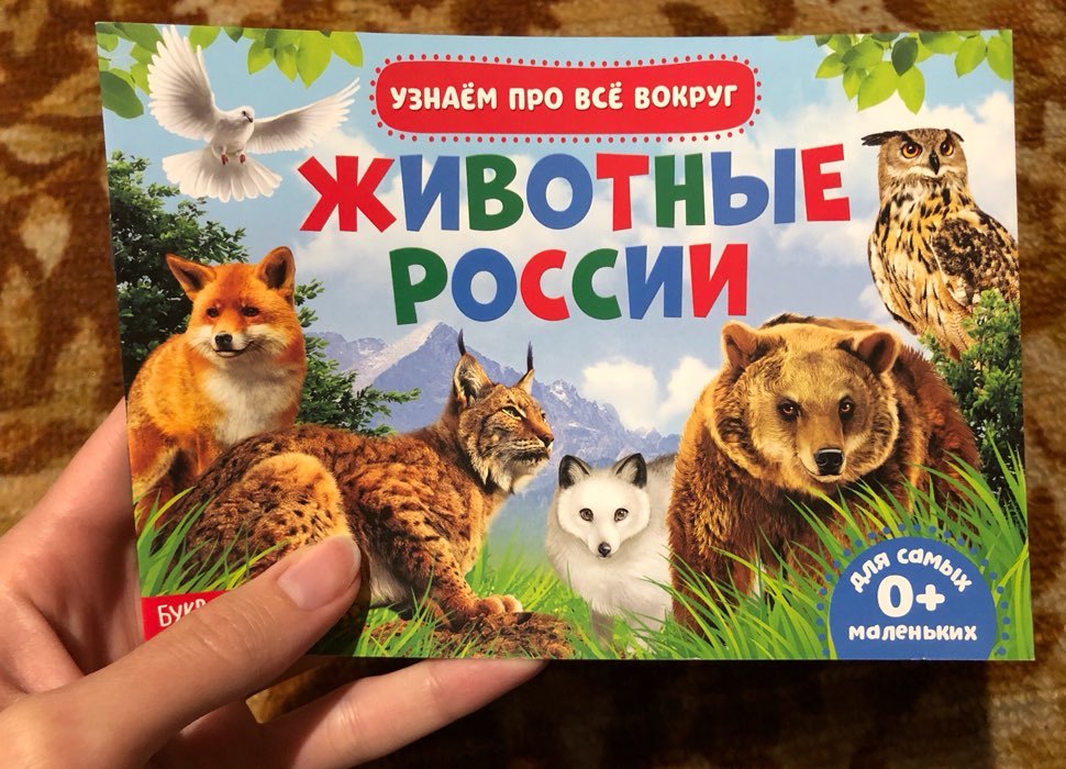 Фотография покупателя товара Обучающая книжка «Животные России», 18 животных - Фото 6