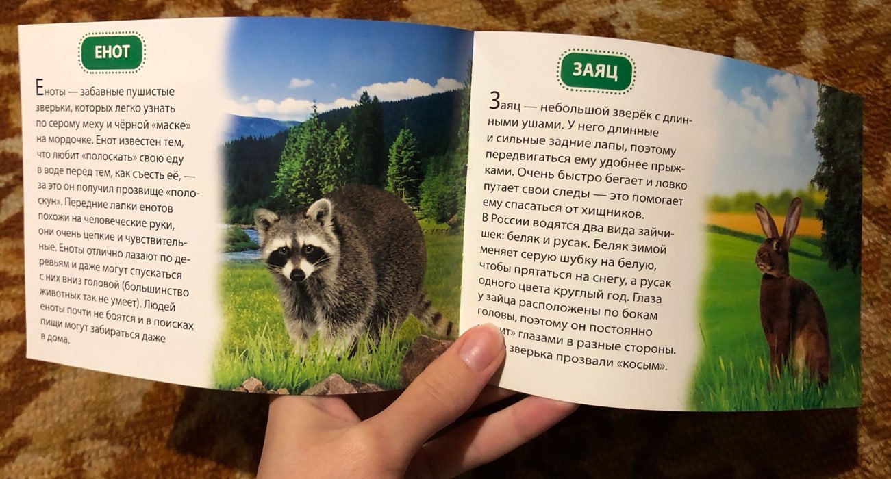 Фотография покупателя товара Обучающая книжка «Животные России», 18 животных - Фото 7