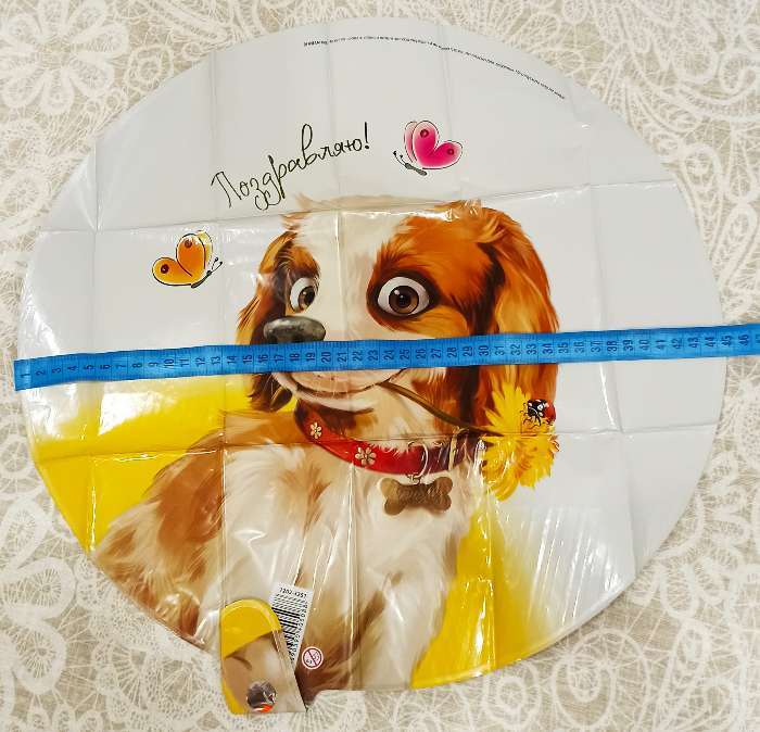Фотография покупателя товара Шар фольгированный 18" «Поздравляю. Собака с цветком», круг - Фото 1