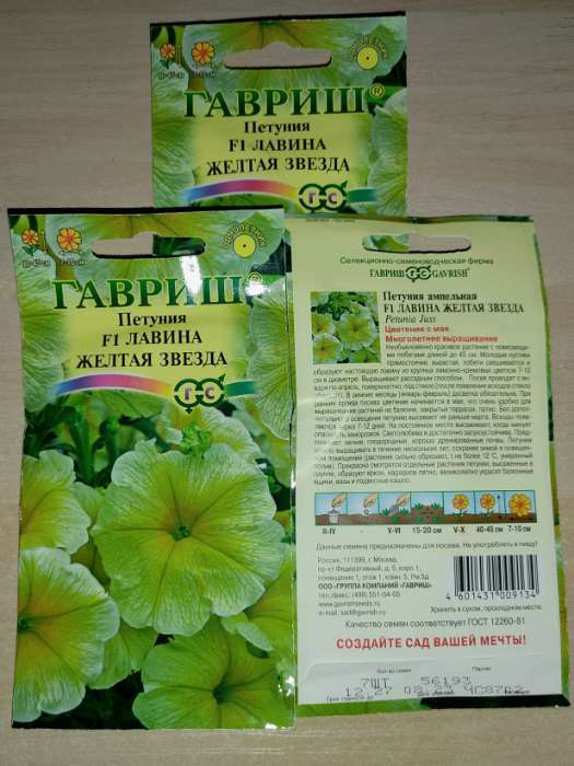 Фотография покупателя товара Семена цветов Петуния ампельная "Лавина Желтая Звезда F1", ц/п,  гранулы, пробирка, 7 шт - Фото 1