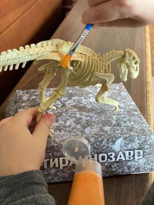 Фотография покупателя товара Набор для опытов «Эпоха динозавров», конструктор-раскраска, тиранозавр - Фото 3