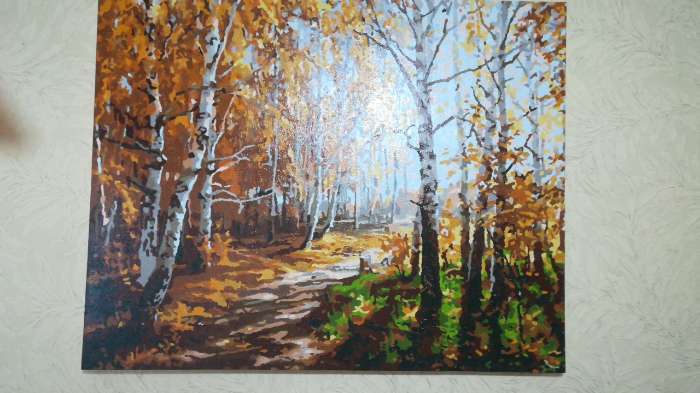 Фотография покупателя товара Картина по номерам «Осенняя прогулка» 40×50 см - Фото 1