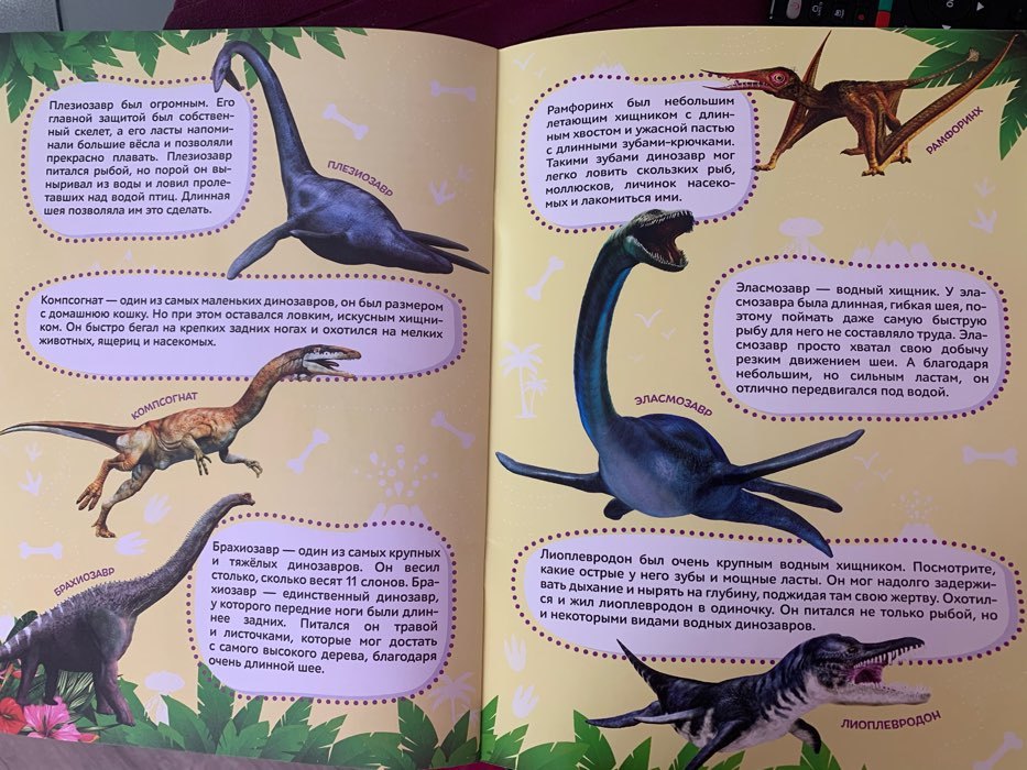 Фотография покупателя товара Наклейки «Моя первая энциклопедия. Динозавры», формат А4, 8 стр. + плакат