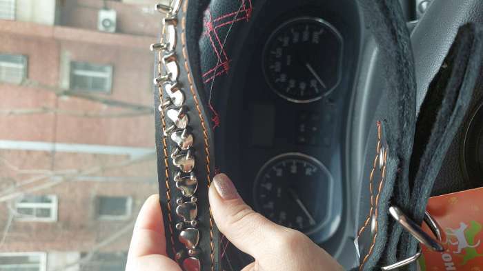 Фотография покупателя товара Ошейник кожаный на синтепоне "Ёж", 64 х 3 см, ОШ 40-55 см, чёрный - Фото 4