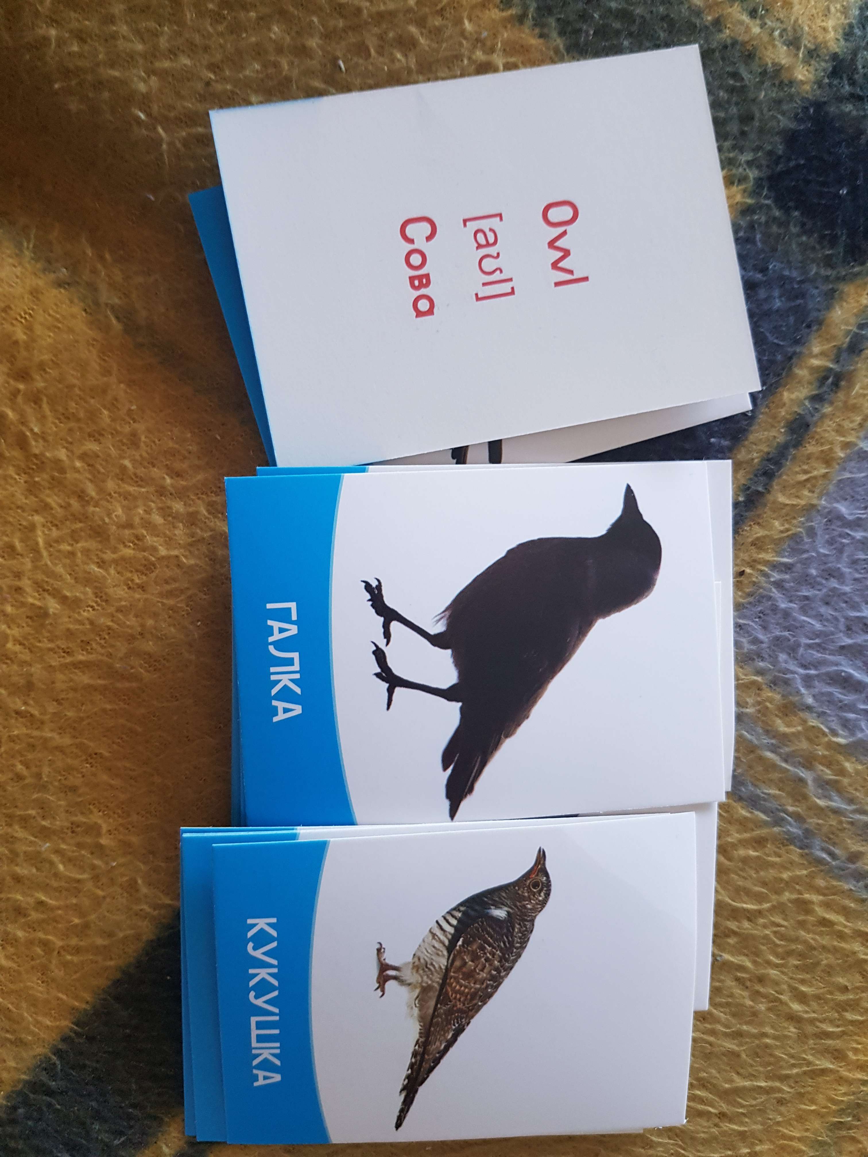 Фотография покупателя товара Обучающие карточки «Изучаем английский. Птицы России», 16 штук, 3+