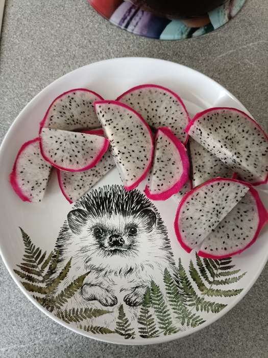 Фотография покупателя товара Тарелка керамическая «Сочный лайм», 22.5 см, Dolce Ceramo - Фото 14