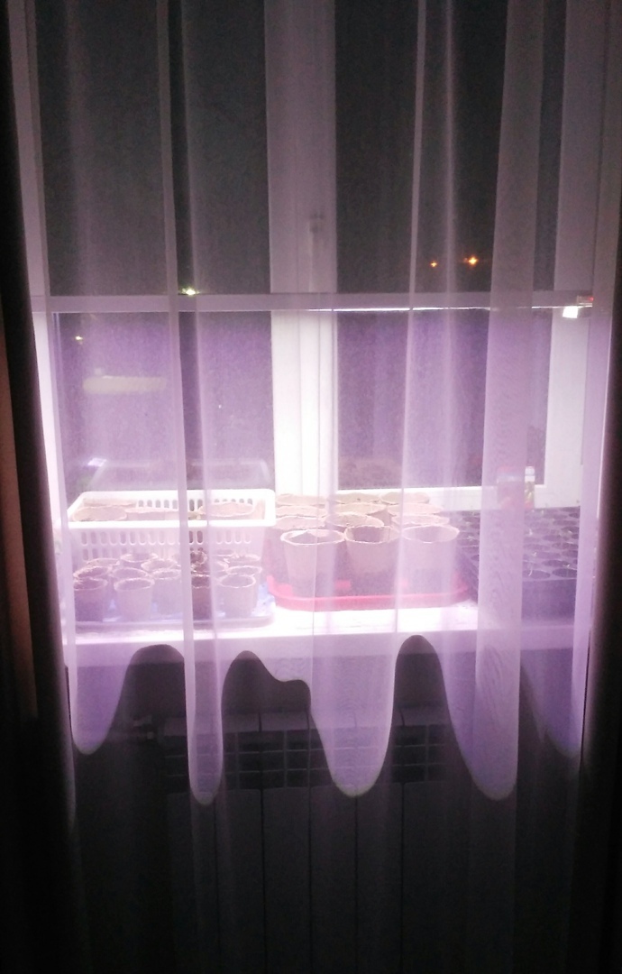 Фотография покупателя товара Фитосветильник светодиодный «Петромаш», Led-30, 60 Вт, 220 В, 1180 мм, на подставке - Фото 4