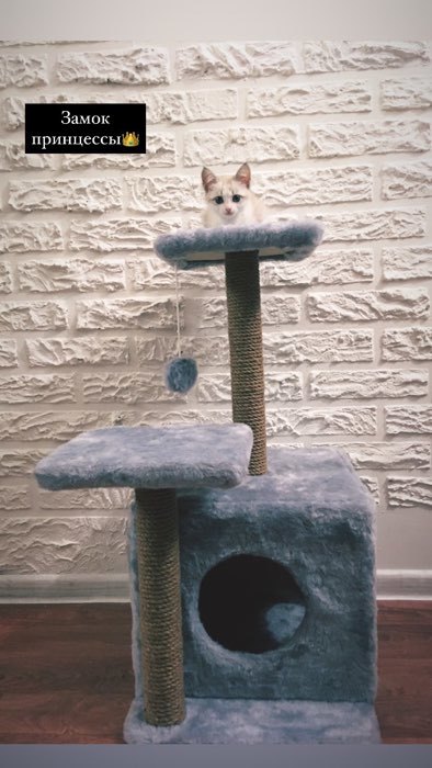 Фотография покупателя товара Домик для кошек с когтеточкой, квадратный, 3х-этажный, 45 × 47 × 75 см, серая - Фото 4