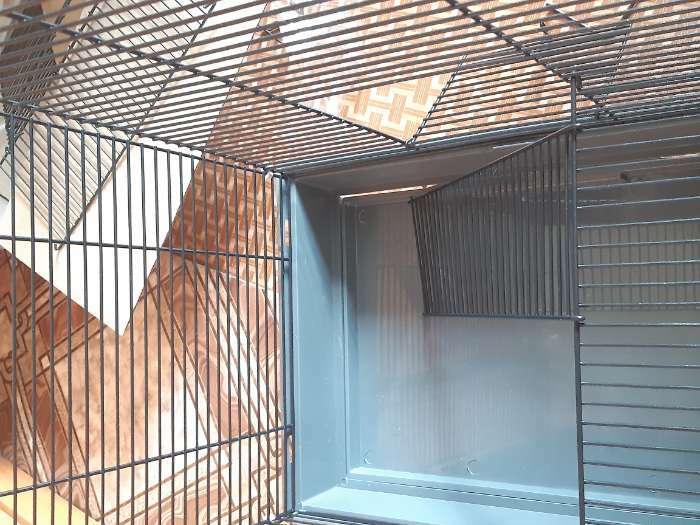 Фотография покупателя товара Клетка для грызунов "Пижон" №5, с 3 этажами, укомплектованная, 41 х 30 х 58 см, рубиновая - Фото 13