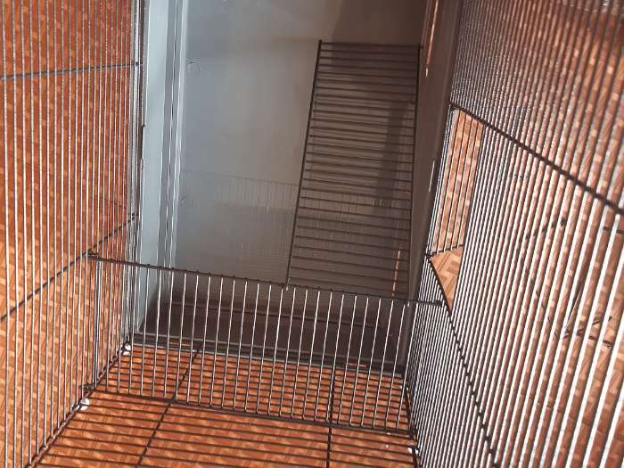Фотография покупателя товара Клетка для грызунов "Пижон" №5, с 3 этажами, укомплектованная, 41 х 30 х 58 см, рубиновая - Фото 14