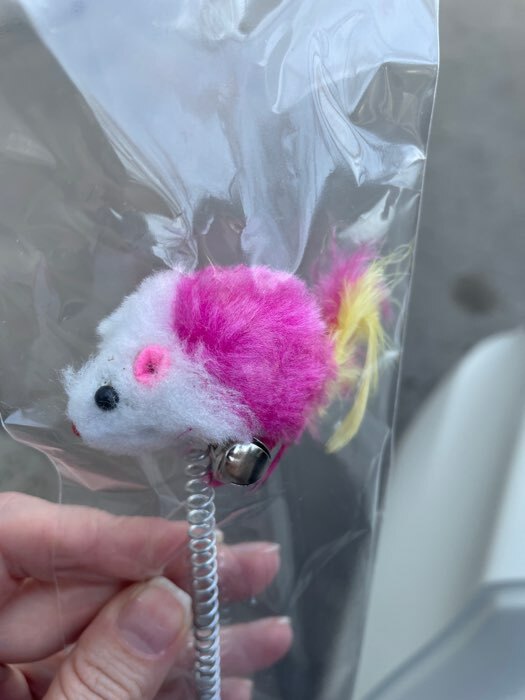 Фотография покупателя товара Дразнилка "Мышь на присоске", искусственный мех с цветными перьями,24 см, мышь микс цветов - Фото 6