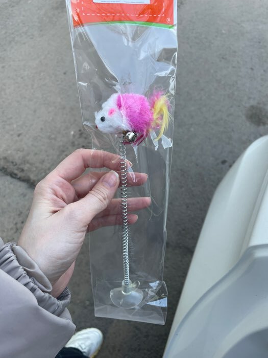 Фотография покупателя товара Дразнилка "Мышь на присоске", искусственный мех с цветными перьями,24 см, мышь микс цветов - Фото 5