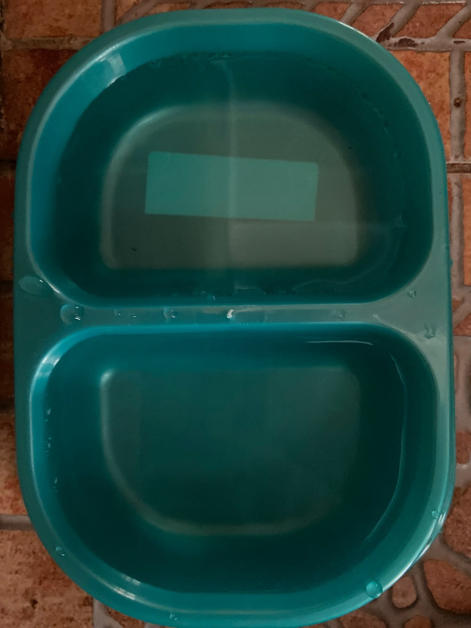 Фотография покупателя товара Миска 2×200 мл, красная - Фото 1