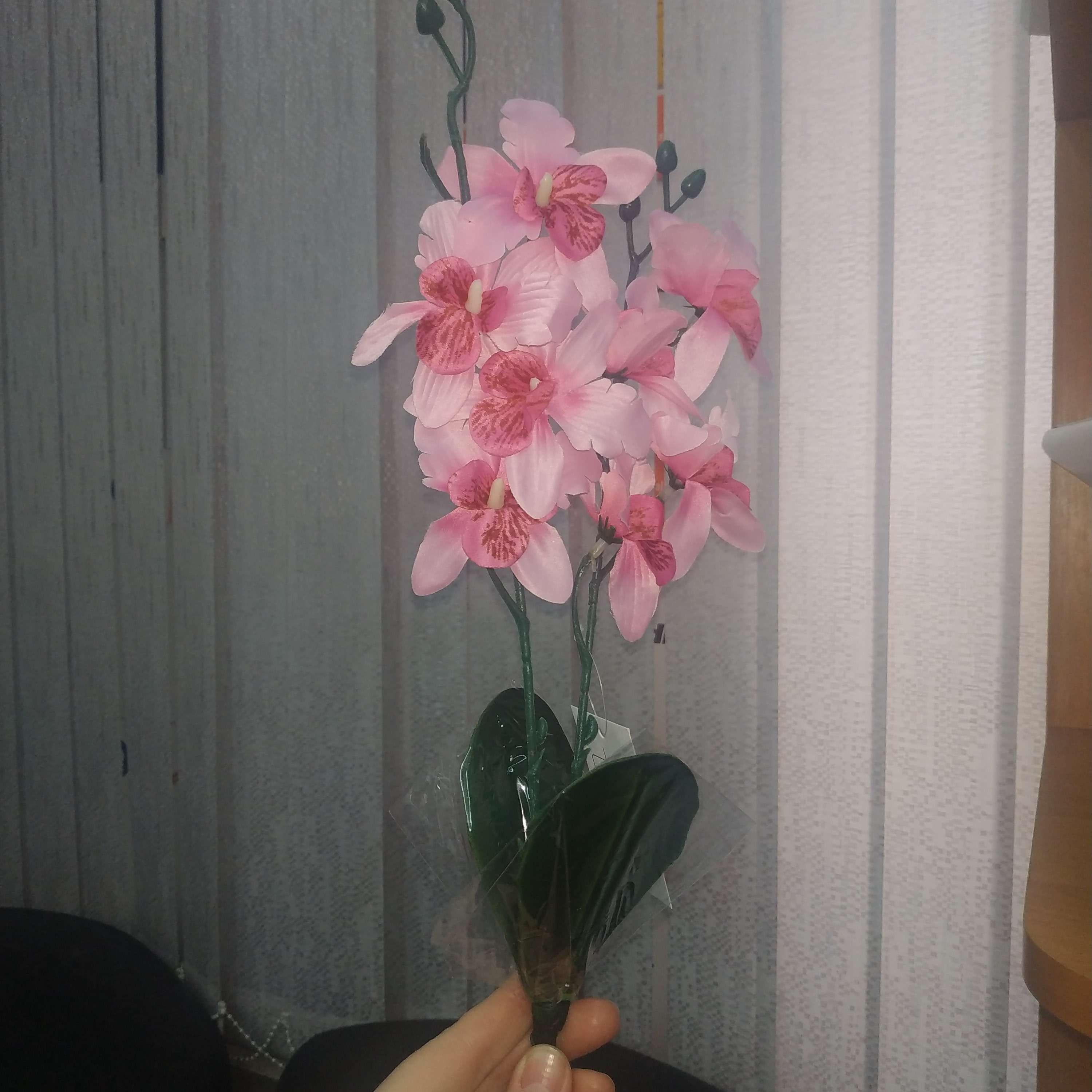 Фотография покупателя товара Цветы искусственные "Орхидея Фаленопсис мультифлора" 6х37 см, розовый микс - Фото 3