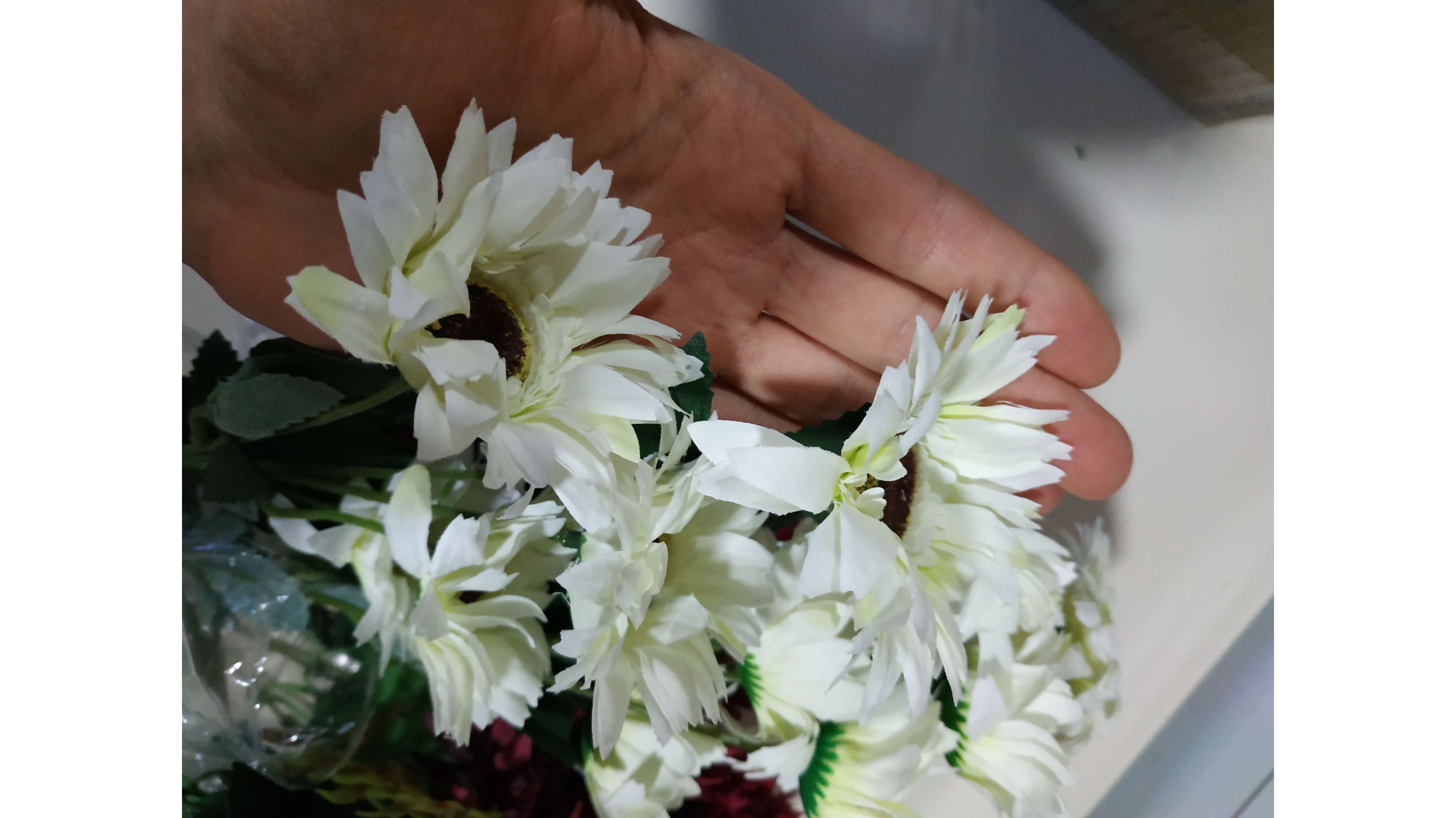 Фотография покупателя товара Цветы искусственные "Гербера садовая" 6х50 см, белый - Фото 1