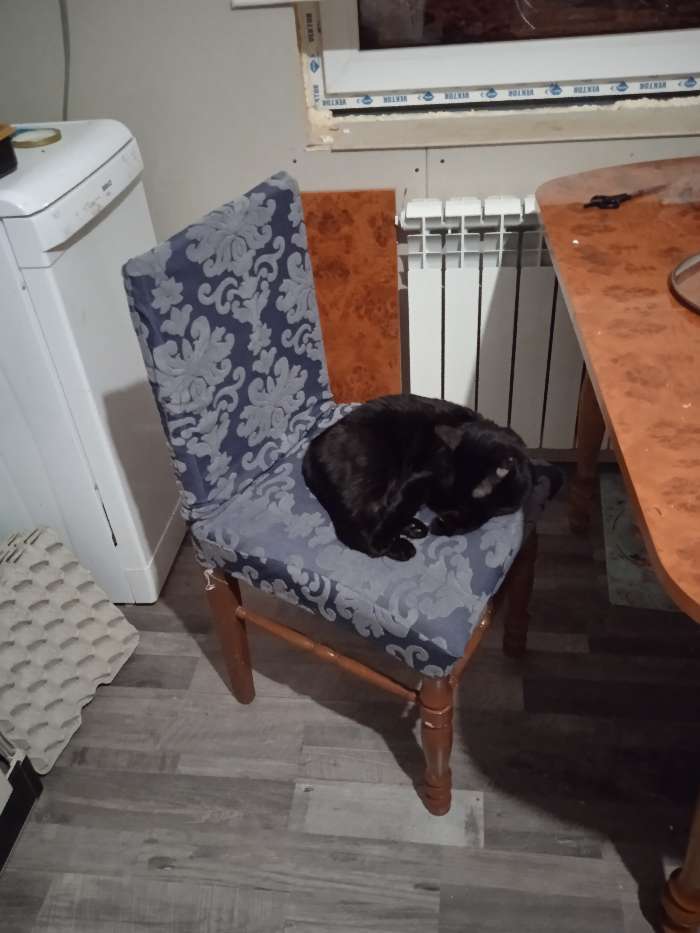 Фотография покупателя товара Чехол на стул трикотаж жаккард, цвет синий, 100% полиэстер