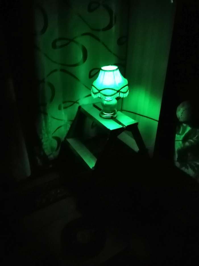 Фотография покупателя товара Лампа светодиодная декоративная Luazon Lighting "Шишка", 5 SMD2835, для белт-лайта, зеленый - Фото 2