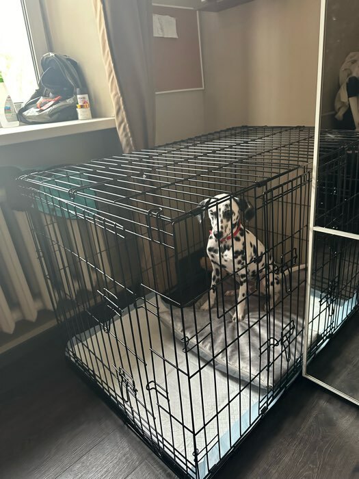 Фотография покупателя товара Клетка DogiDom для собак №6 с металлическим поддоном, складная, 121 х 78 х 83 см, черная - Фото 2