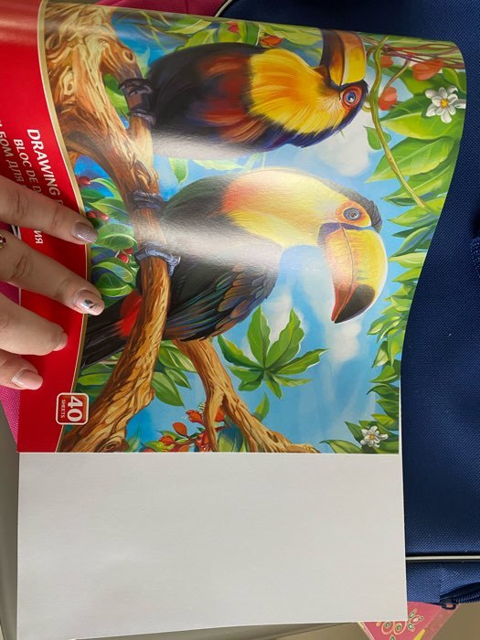Фотография покупателя товара Альбом для рисования А4, 40 листов на клею ArtBerry "Экзотические птицы", обложка мелованный картон, жёсткая подложка, блок 120 г/м2