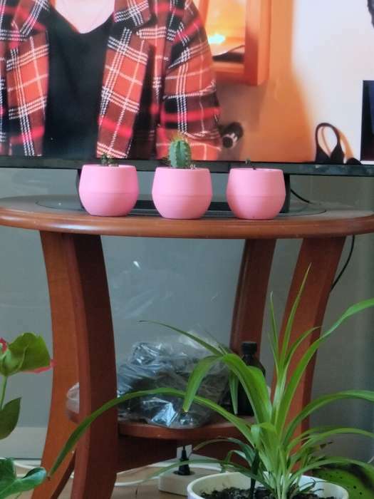 Фотография покупателя товара Горшок для цветов с поддоном «Япония», 125 мл, d=8 см, h=6,5 см, цвет розовый - Фото 4
