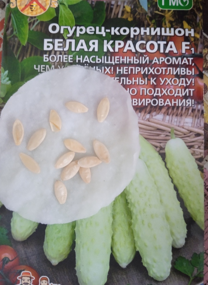 Фотография покупателя товара Семена Огурец "Белая красота - корнишон", 10 шт - Фото 2