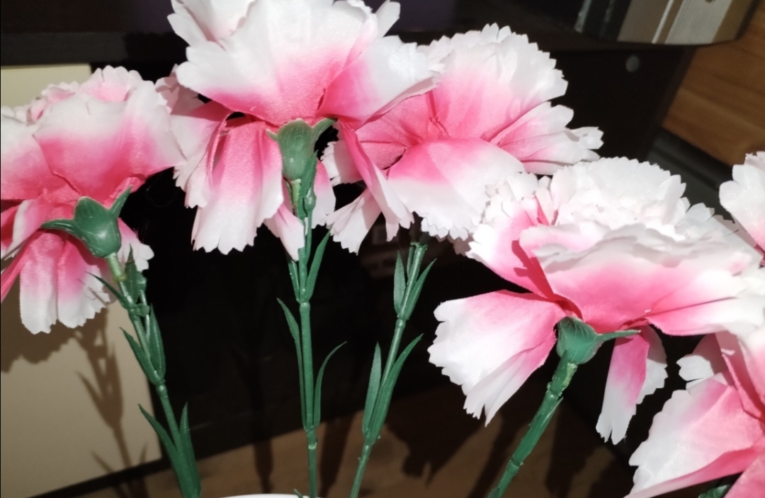 Фотография покупателя товара Цветы искусственные "Гвоздика экстра галант" d-8 см 49 см, белый - Фото 2