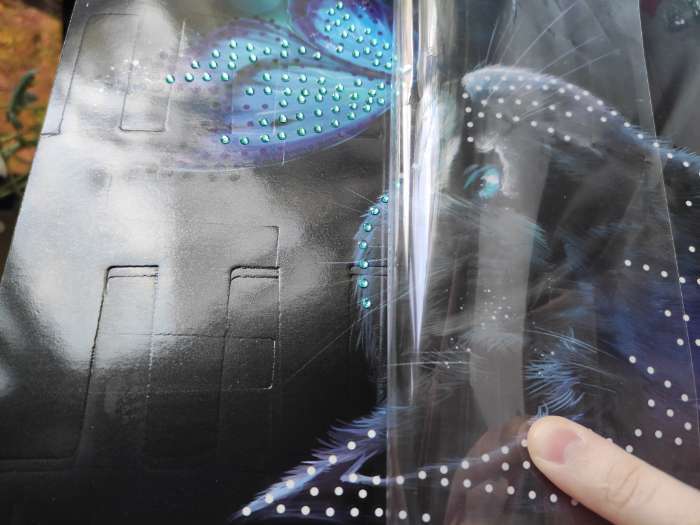 Фотография покупателя товара Алмазная мозаика с частичным заполнением на картонной основе «Котик и бабочка», 21 х 30 см - Фото 1