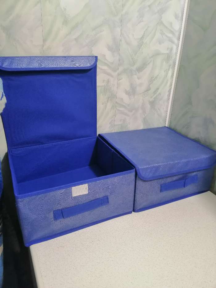 Фотография покупателя товара Короб стеллажный для хранения с крышкой «Фабьен», 26×20×16 см, цвет синий - Фото 2