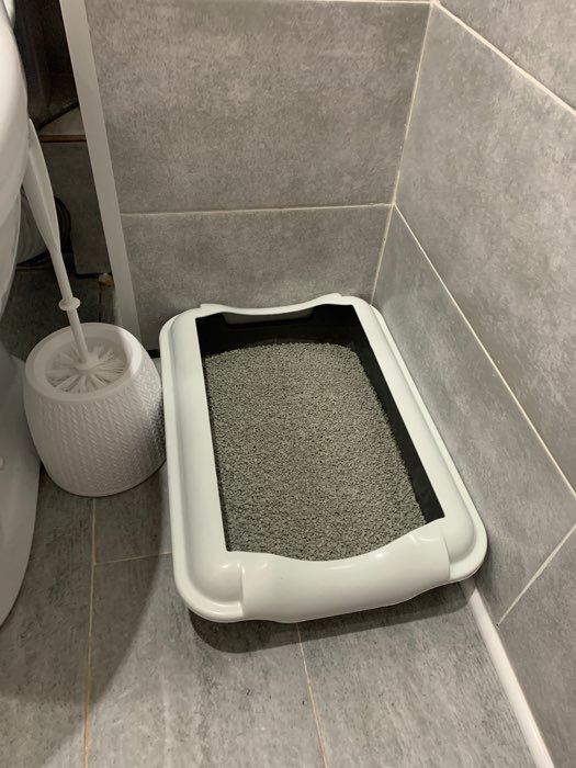 Фотография покупателя товара Туалет с бортом "Бэлла", 37 х 27 х 11,5 см, серый