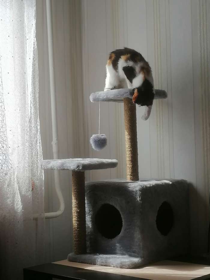 Фотография покупателя товара Домик для кошек с когтеточкой, квадратный, 3х-этажный, 45 × 47 × 75 см, леопард - Фото 3